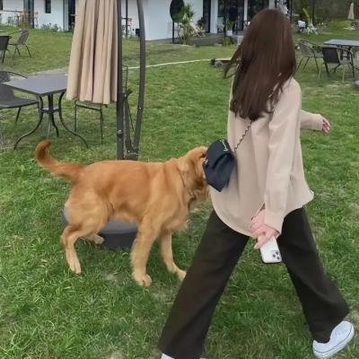 旧爱重拍